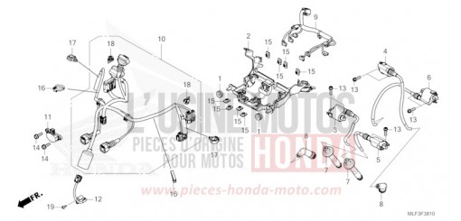 FAISCEAU SECONDAIRE/BOBINE D'ALLUMAGE NT1100DR de 2024